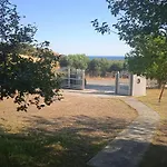 Belvedere Flogita