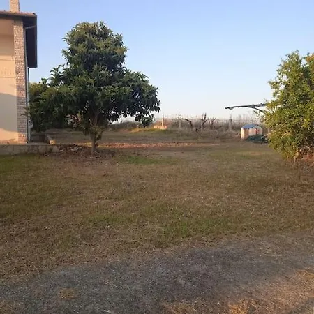 Belvedere Flogita