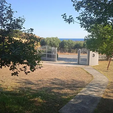 Belvedere Flogita
