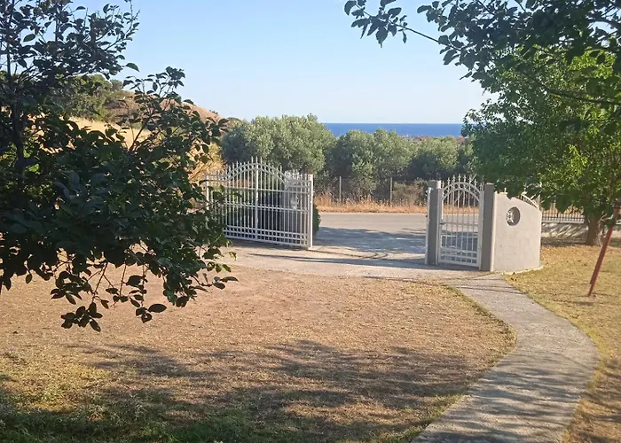 Belvedere Флогита
